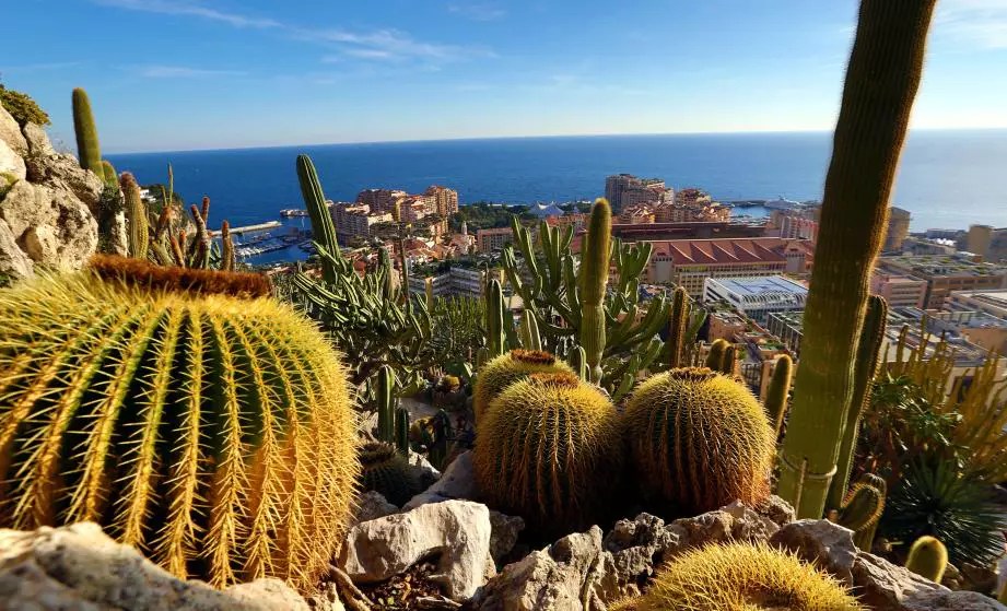 Théâtre, Jardin exotique, Palais princier... Voici les endroits à