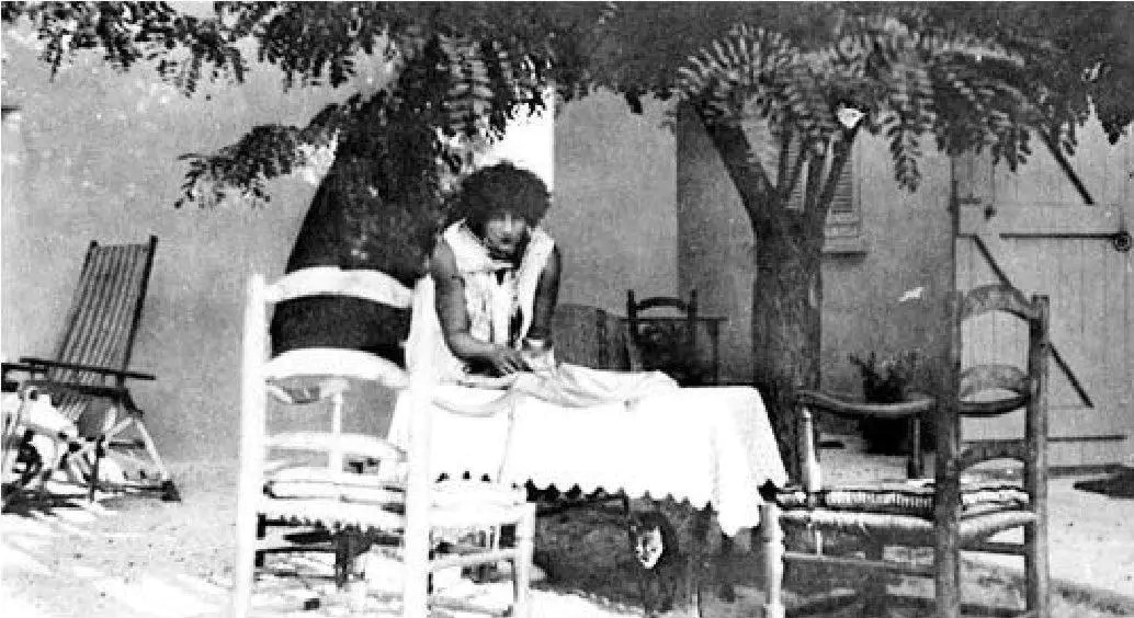 Colette à SaintTropez amour et jardinage VarMatin