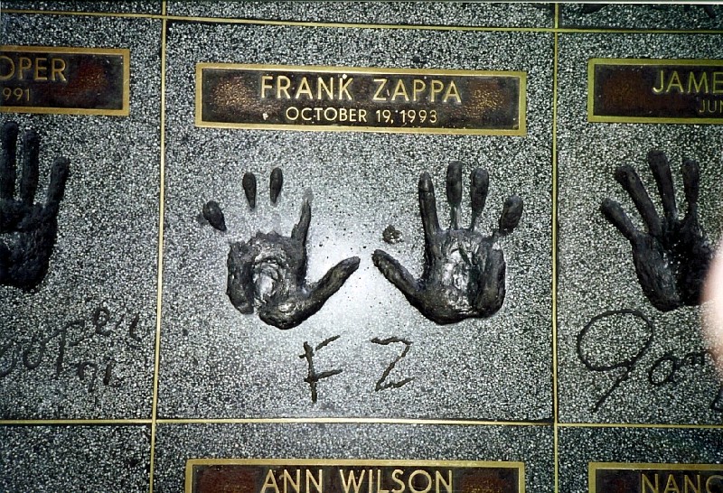 Photos by Peter Mackay