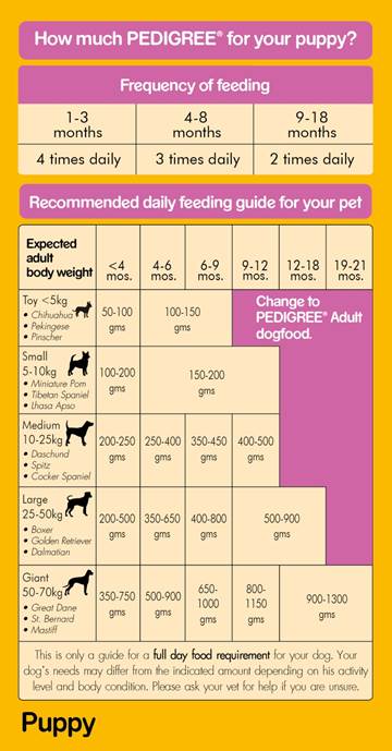 Buy Pedigree Wet Dog Food, Chicken Chunks in Gravy for Puppy - 80g