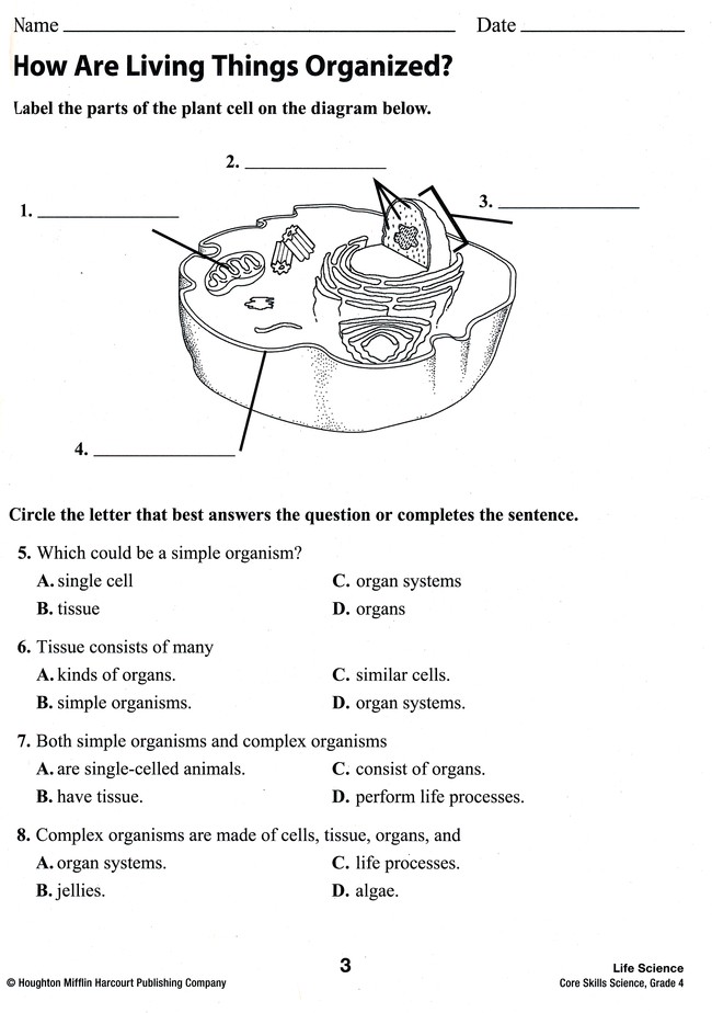 Houghton Mifflin Harcourt Publishing Company Answer Key Grade 8 Science