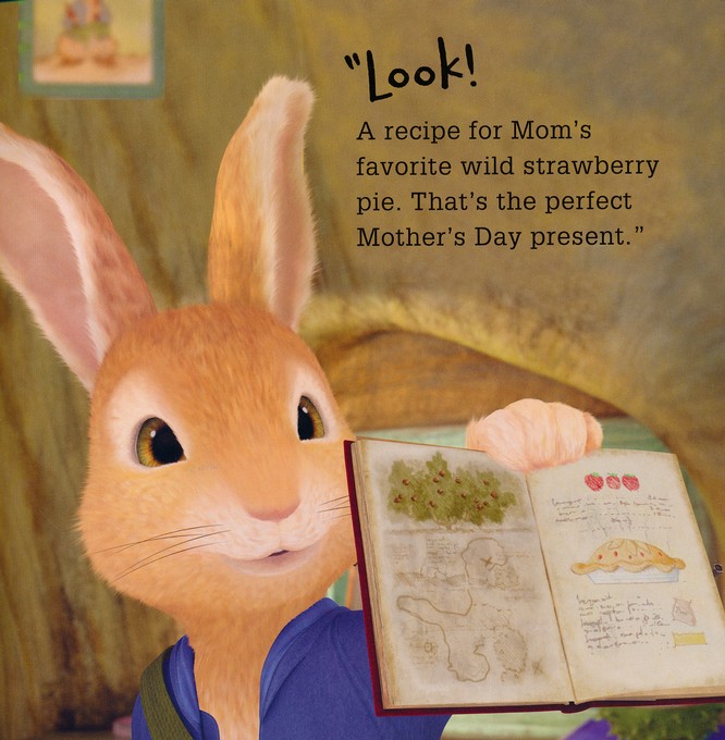 proIsrael Perfect Day Peter Rabbit