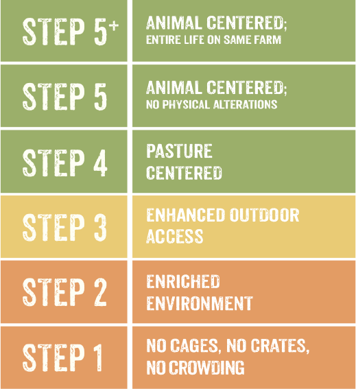 Why Whole Foods Is Raising Its Animal Welfare Standards The Motley Fool