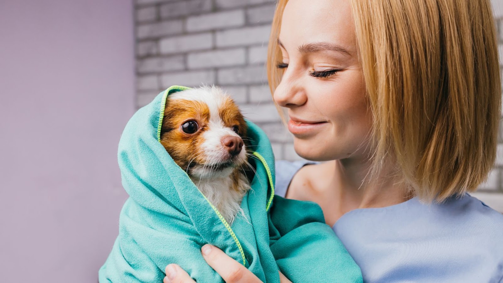 Why Everyone Should Have A Pet G15Tools