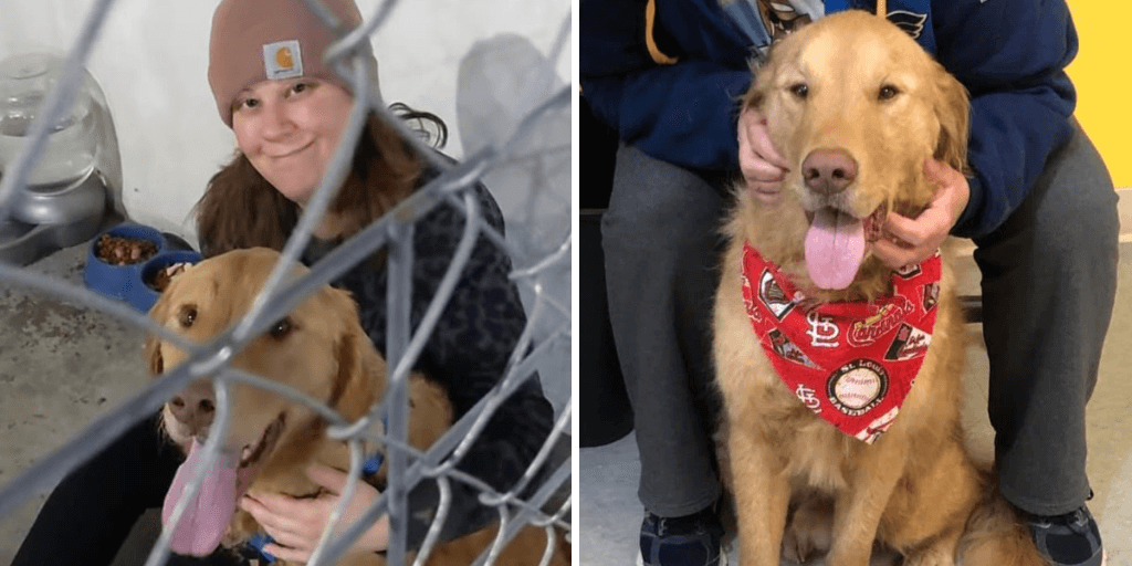 Skittish dog missing since November 2019 reunited with owner nearly one