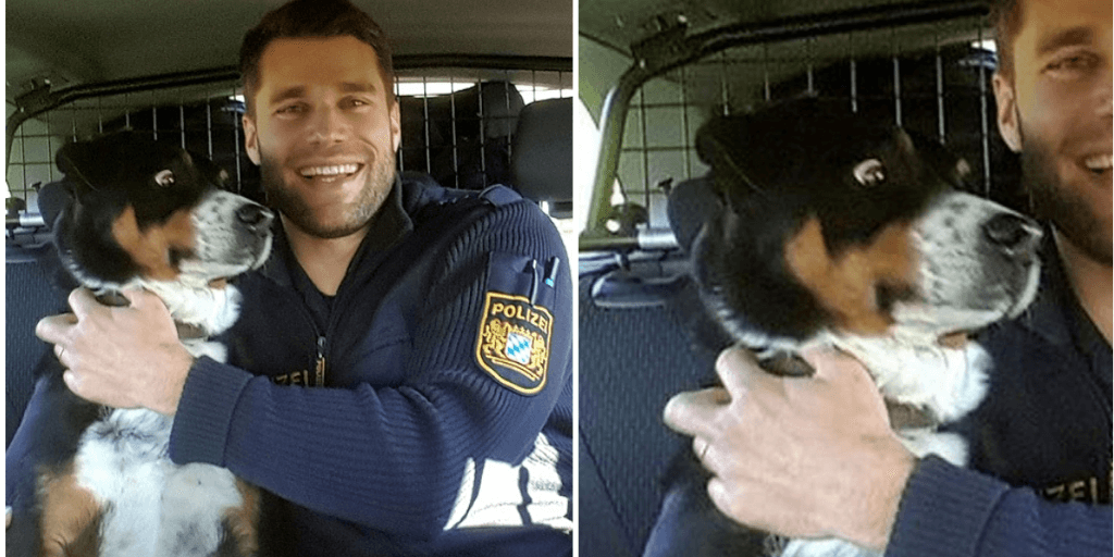 Escaped dog is found by police, makes the best face while being