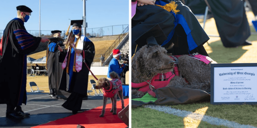 Nursing Student’s Service Dog Gets Her Own Degree At Graduation G2altc