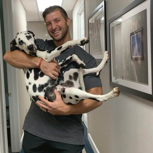 Tim Tebow’s Dog Trio Is Providing Meals For Rescue Dogs G2altc