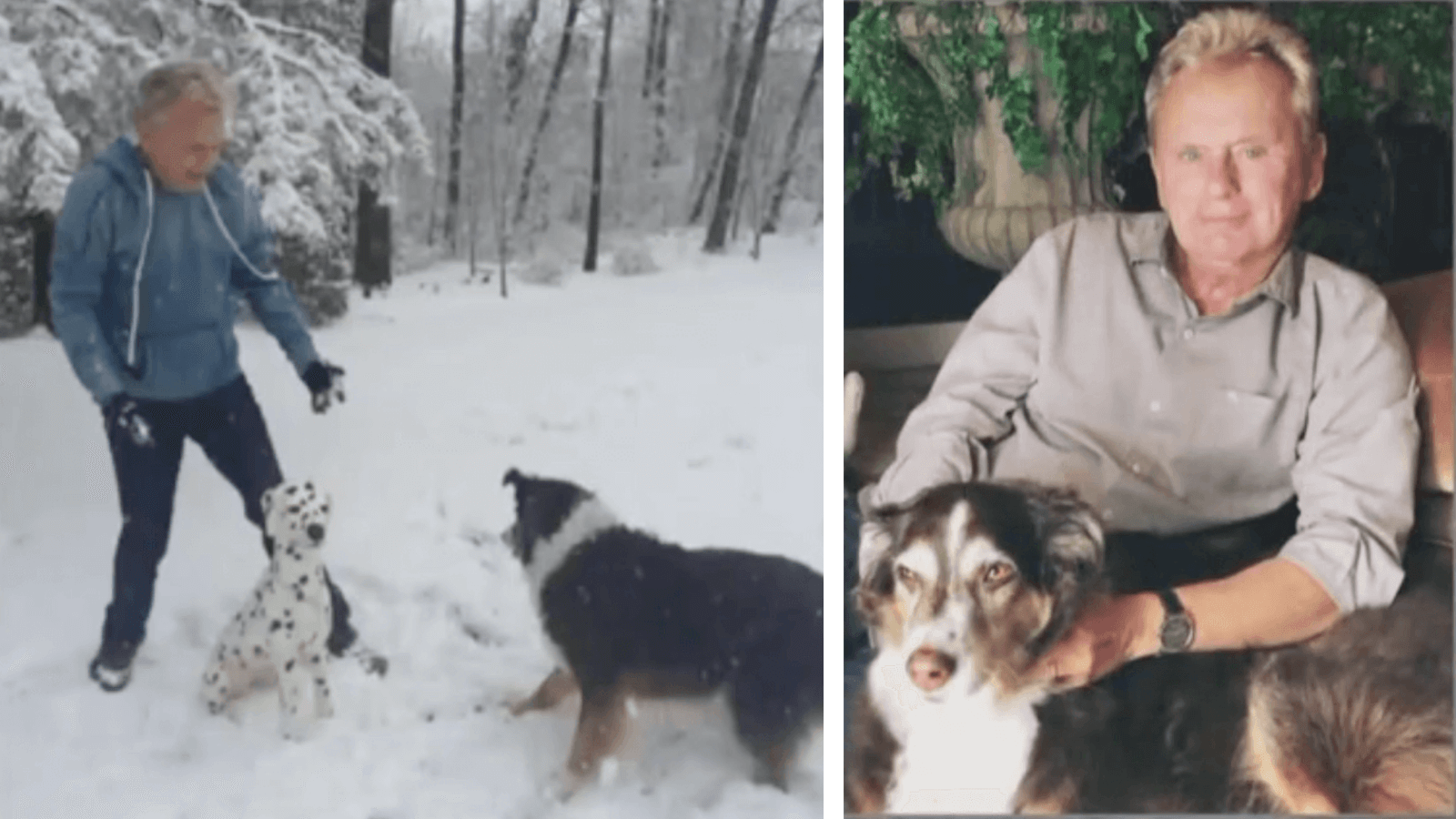 Wheel Of Fortune’s Pat Sajak Mourns His 12YearOld Dog G2altc