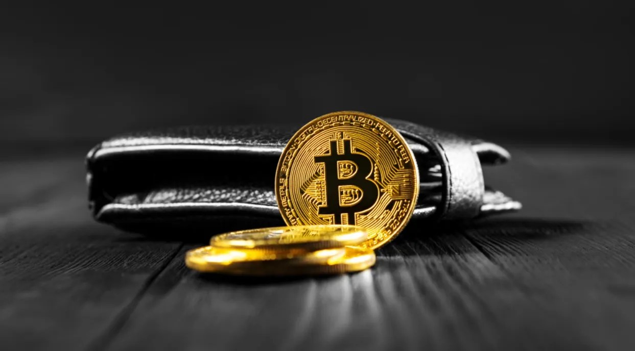 What is a cryptocurrency wallet and what types are there? islaBit