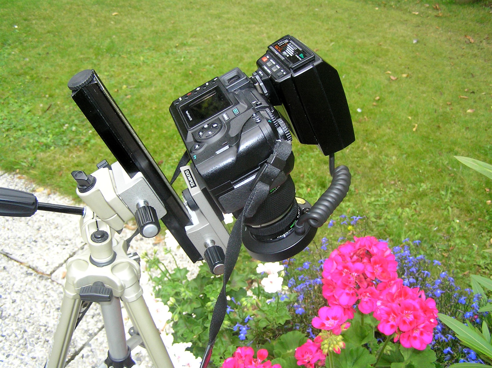 macro set up ringflash carlvds Galleries Digital Photography