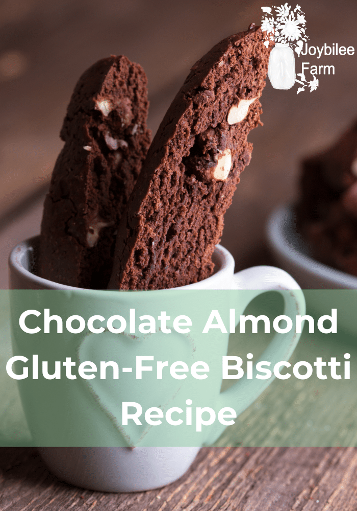 Chocolate Almond GlutenFree Biscotti Recipe