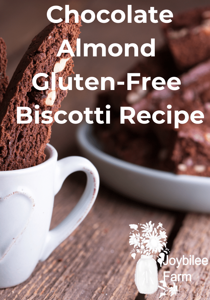 Chocolate Almond GlutenFree Biscotti Recipe