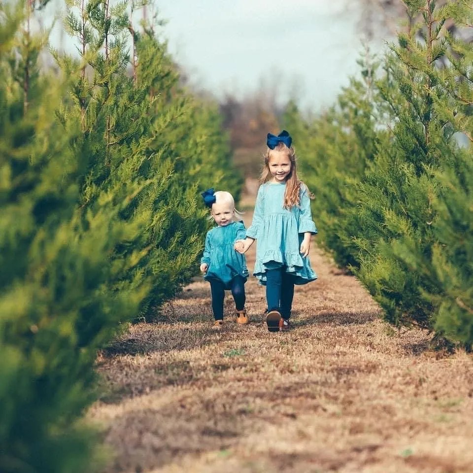 Stapleton Legacy Farms Choose and Cut Christmas Trees Christmas Tree Association