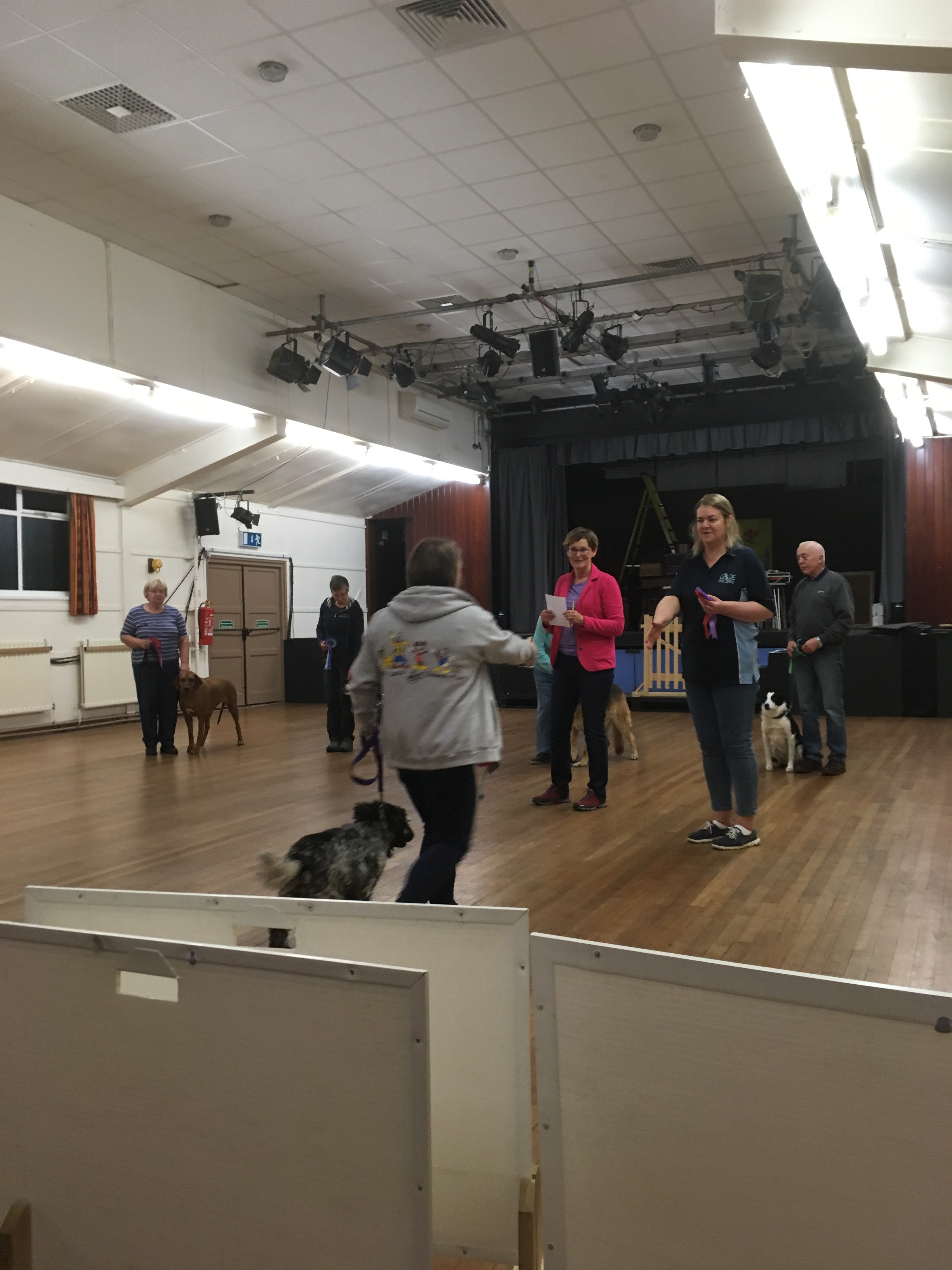 Gade Dog Training Society Group classes and courses for dog obedience