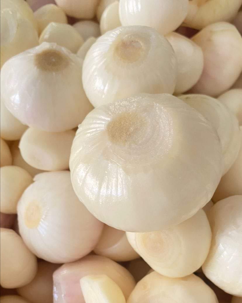 Frozen Onions Gadex For Import & Export