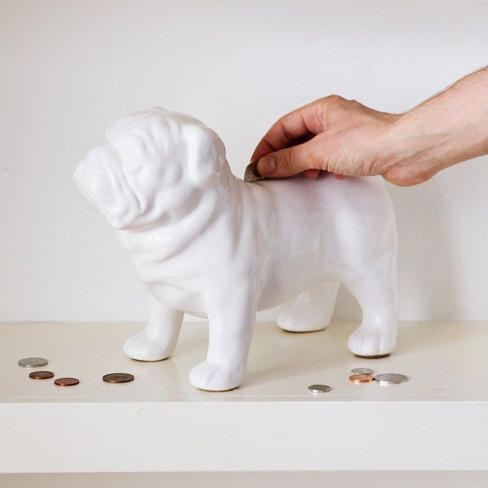 Guard Dog Money Box » Gadget Flow
