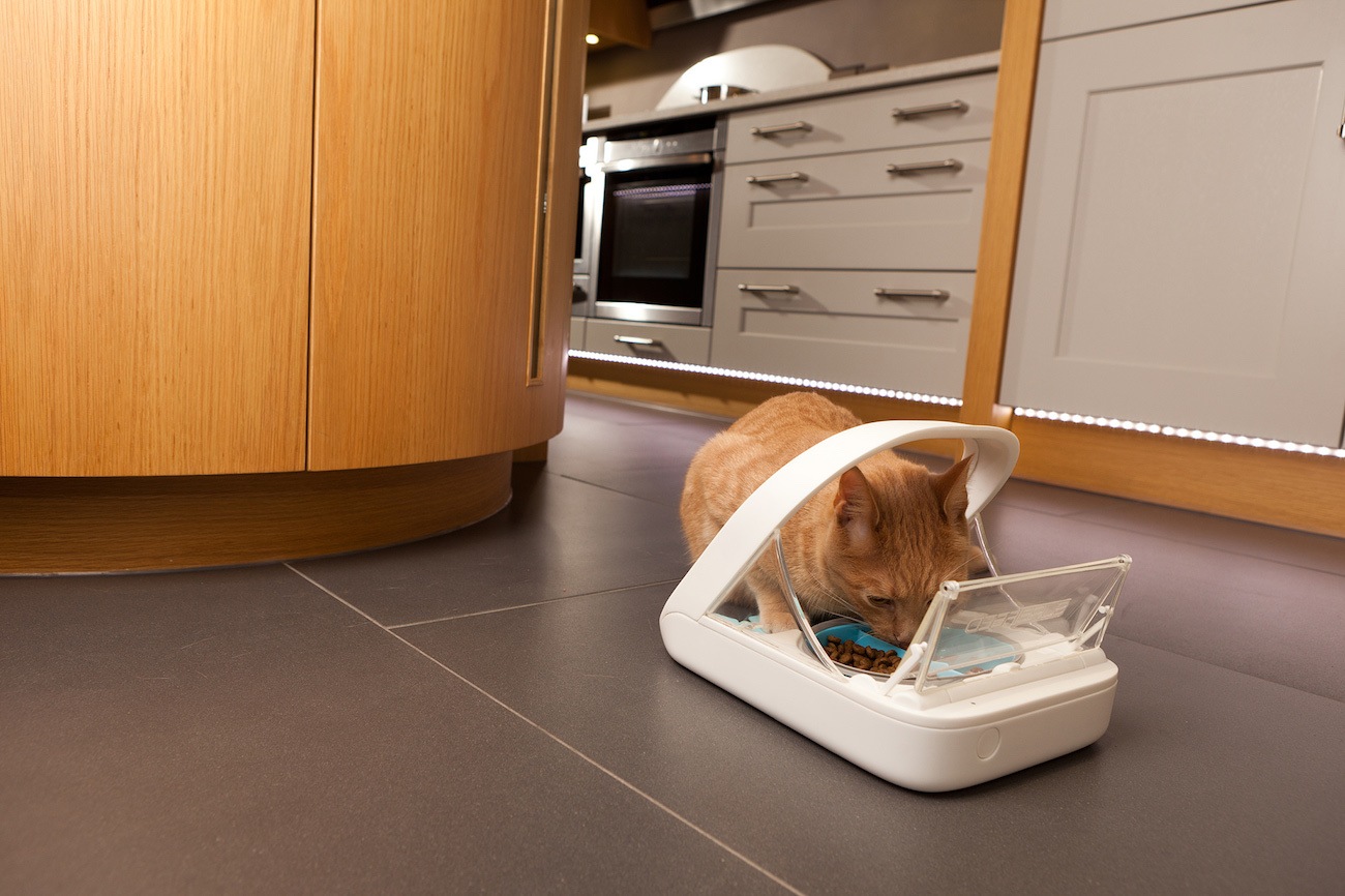 You simply program your cat's microchip, fill up the tray, close the lid, and it will only open for them. SureFeed Microchip Pet Feeder » Gadget Flow