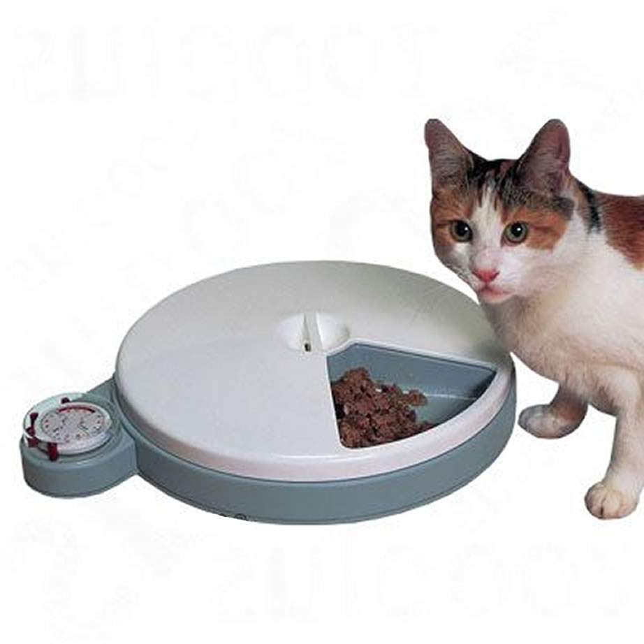 Cat Mate C50 Automatic Cat Feeder Review Gadget loft