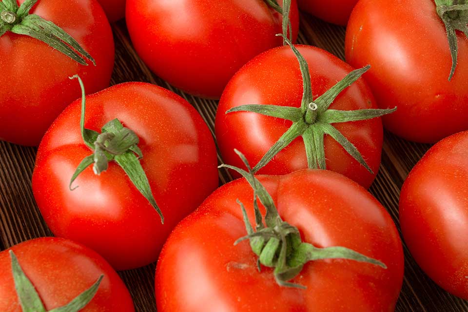 EAT MORE TOMATO TO BOOST FERTILITY Health GadgetsNG