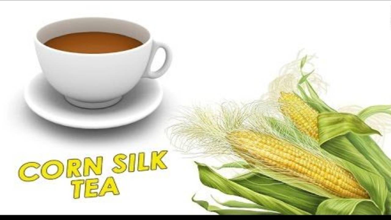 MEDICINAL WONDERS OF CORN SILK TEA Health GadgetsNG