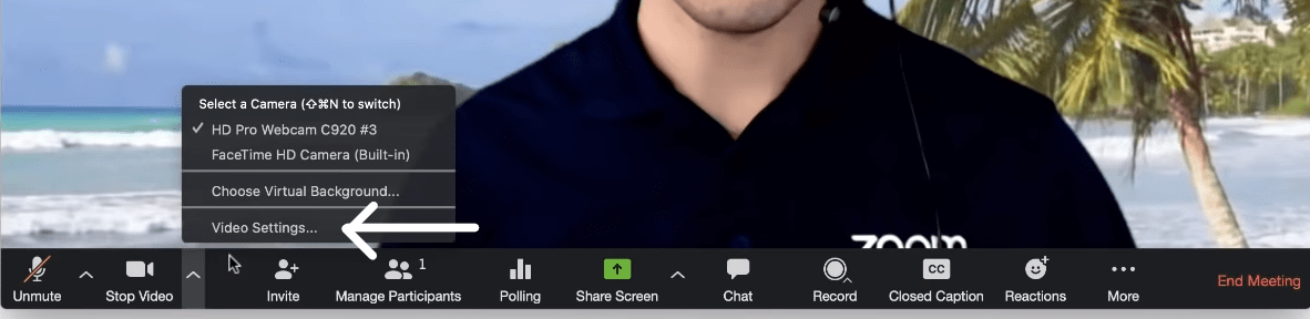 Play Video in Loop in Zoom To Fake Attend a Meeting