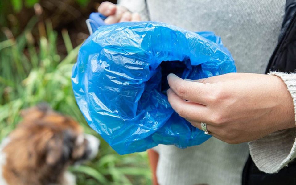 Stay MessFree Walking your Dog with the Sanidoo Pooper Scooper