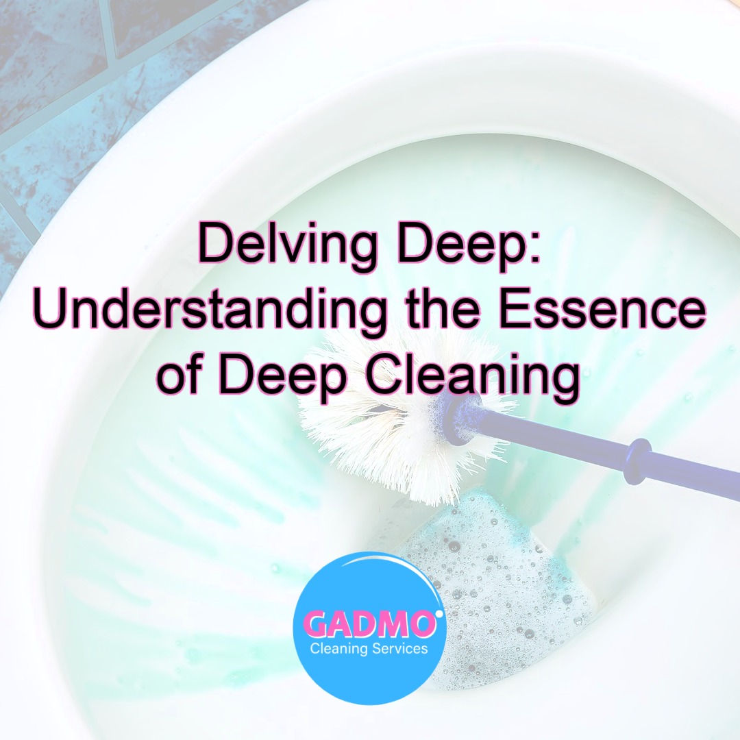 Delving Deep Understanding the Essence of Deep Cleaning with GadMo