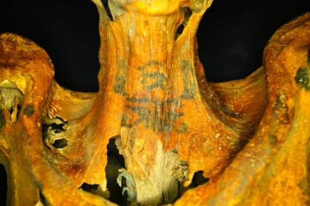 Sacerdotessa O Maga: La Mummia Egizia Coperta Da Tatuaggi – La Macchina Del Tempo 420_x_630_jpg