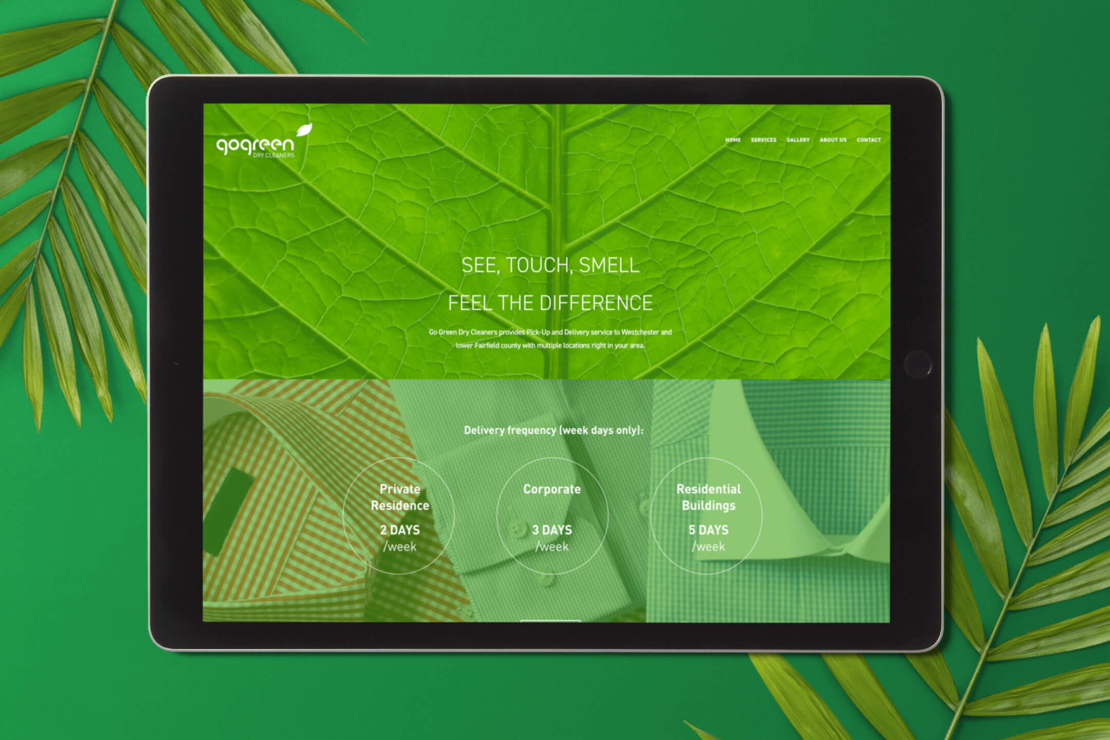 GoGreen Dry Cleaners Gagica