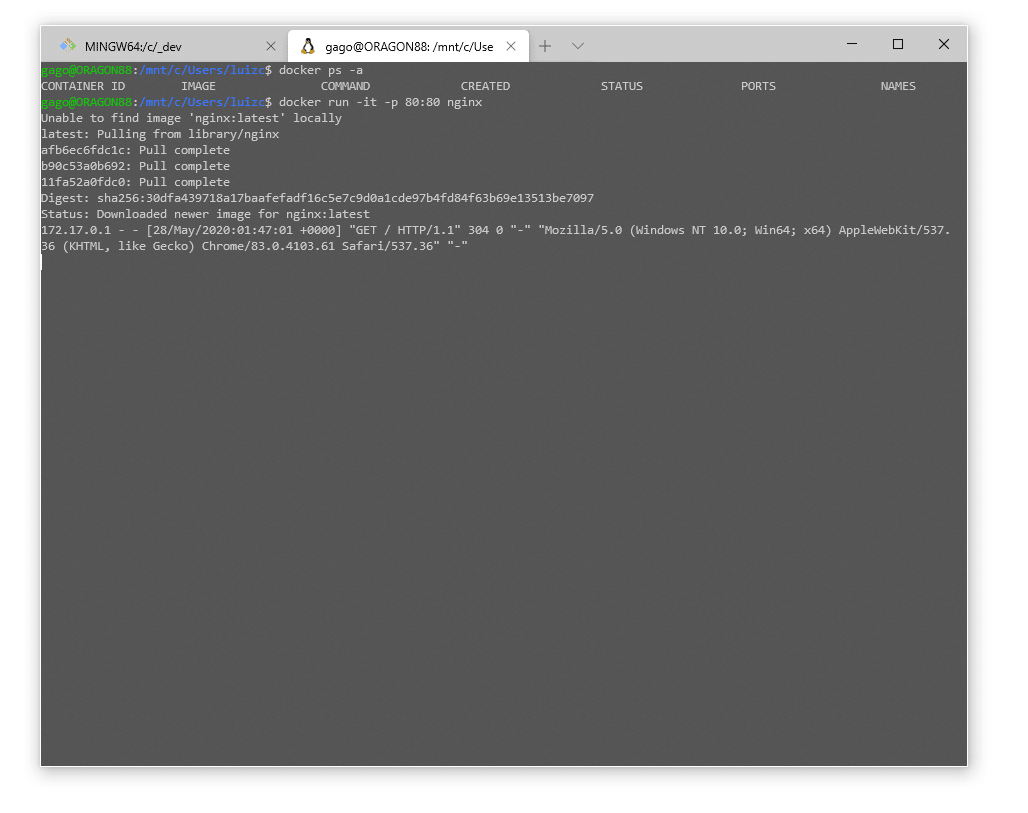 Docker no WSL² Walkthrough gaGO.io