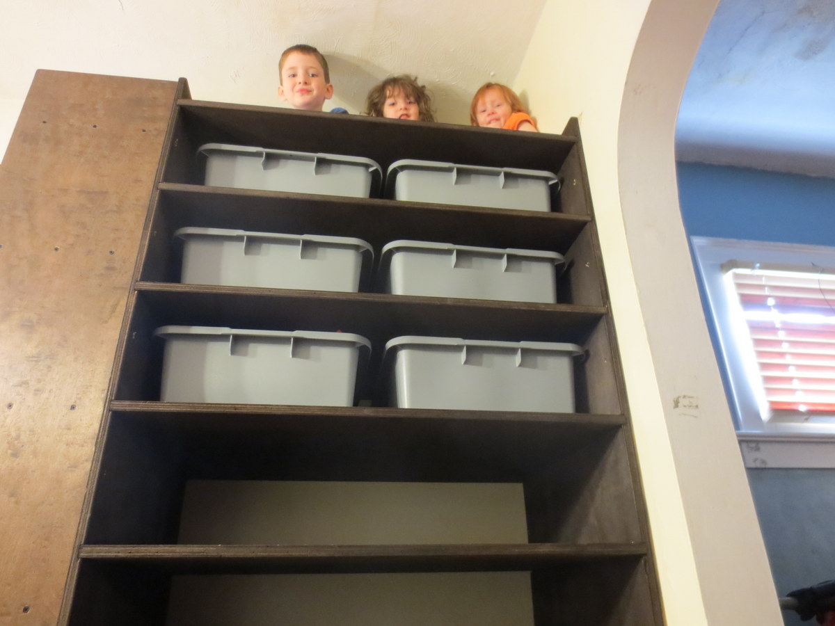 Building Plywood Shelves The Gahooa Perspective