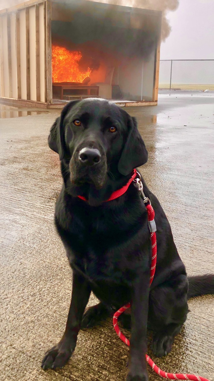 Cherokee Nc Events March 2023