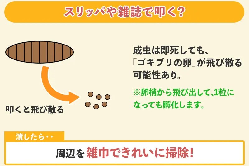 実は叩いて潰すのは危険！間違ったゴキブリ退治方法｜くらしの一括見積比較コンシェルジュ ゴキブリの殺虫剤がない時の代用品～家にあるもので今すぐ退治～ | 害虫獣対策所