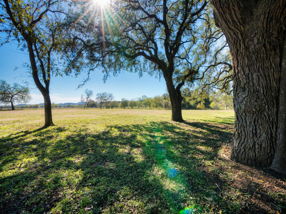 3 Acres in Tarpley, Texas. Gail Stone Realty