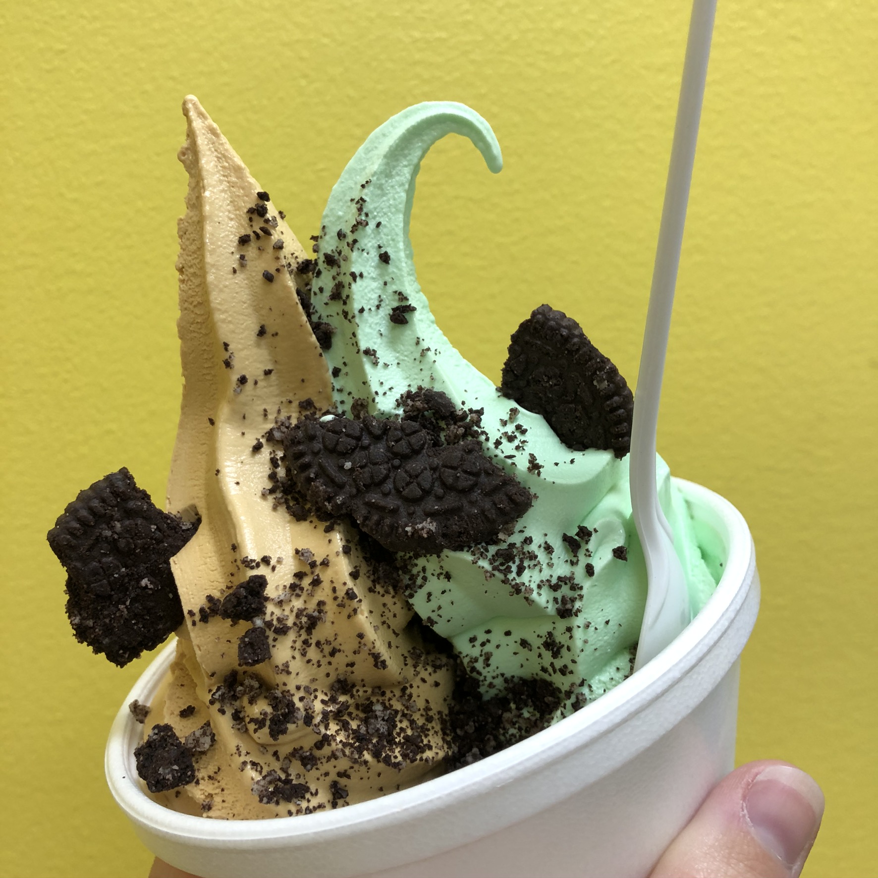 Ice Cream D'Lites by West Health Spa