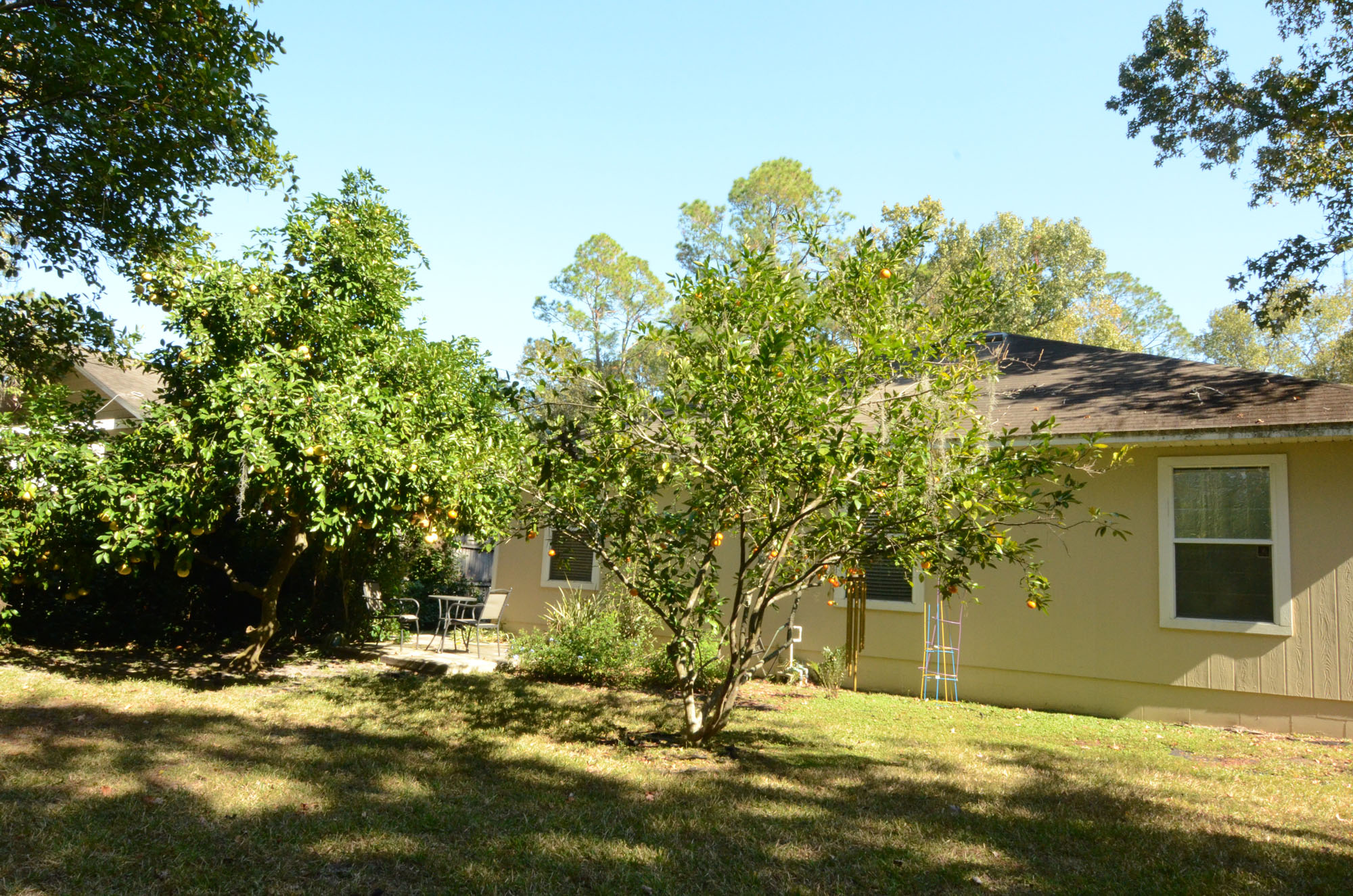 yard2 Gainesvilleian Gainesville FL Real Estate