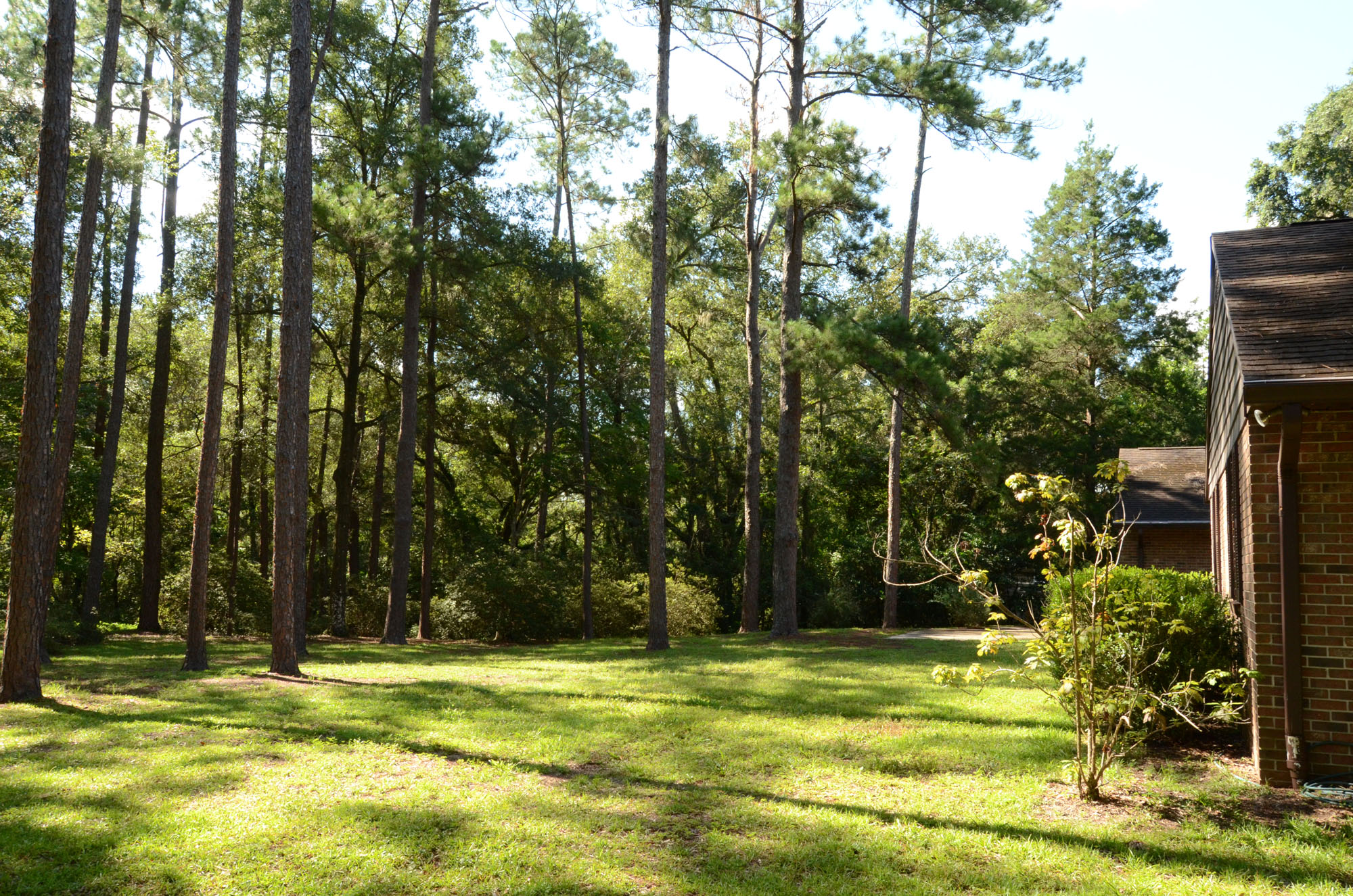yard3 Gainesvilleian Gainesville FL Real Estate