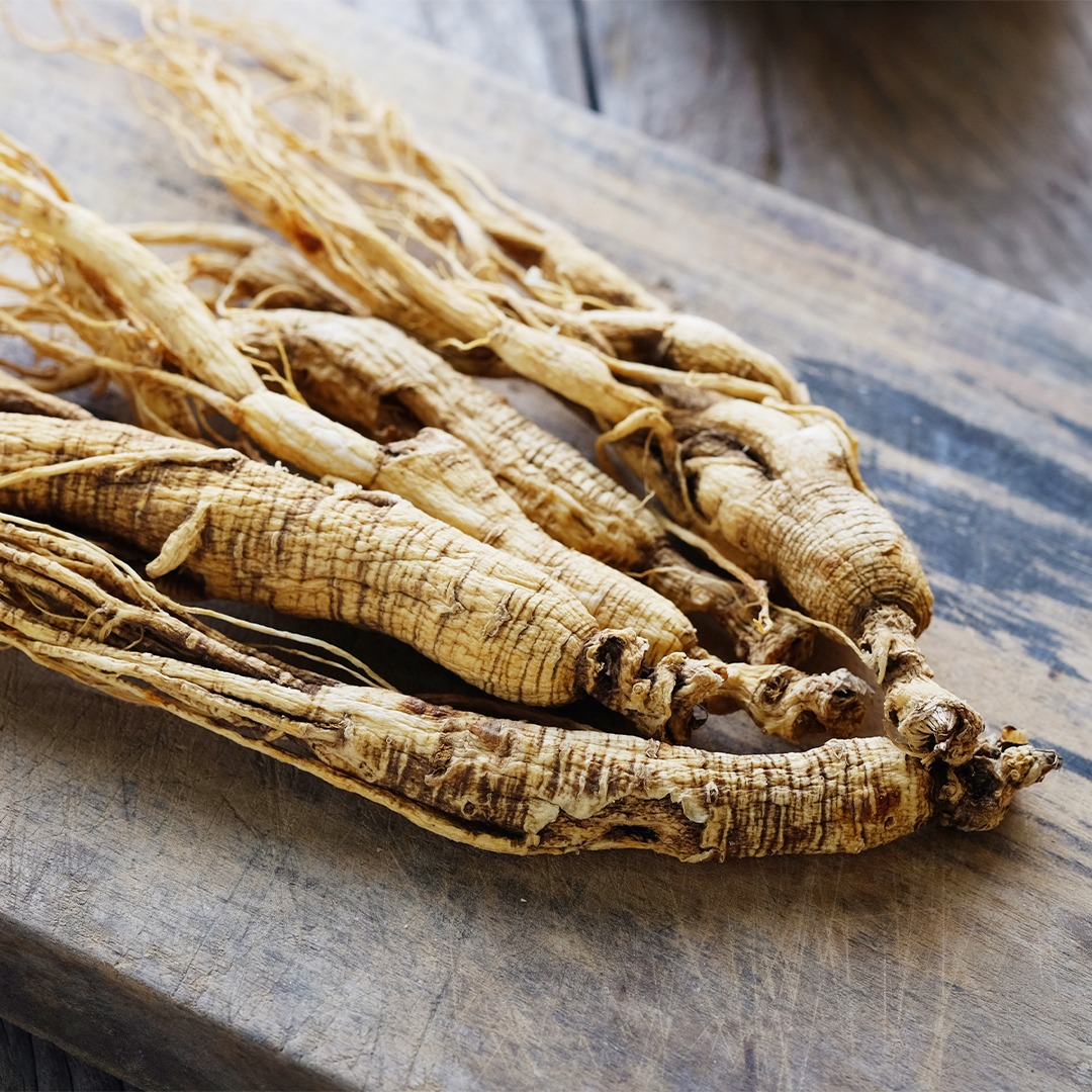 Panax Ginseng For ED A Detailed Guide For 2021 GAINSWave