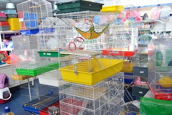 Pequenos Animais Gaiola de Ouro