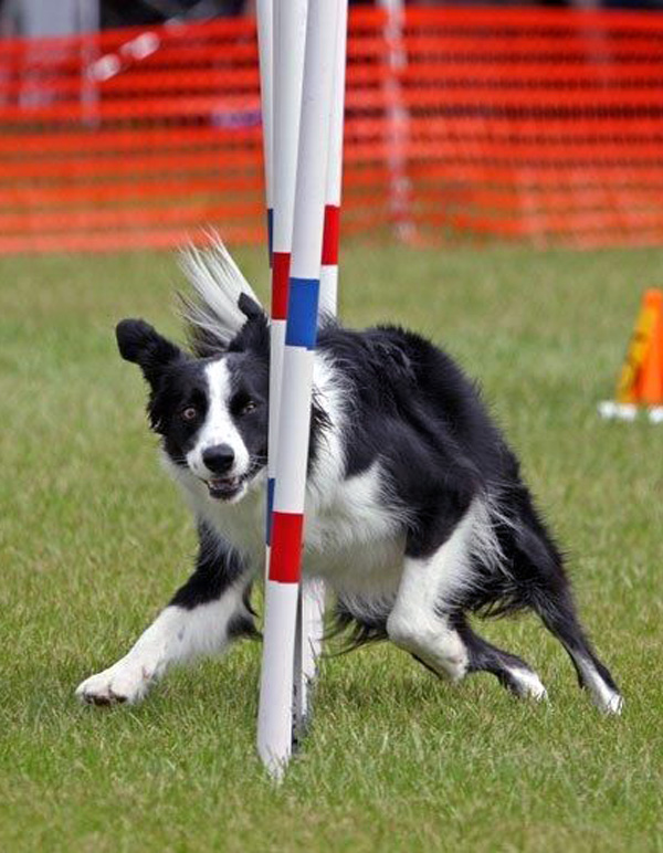 GAITMETRIX Dr. Victoria Light Whitehead