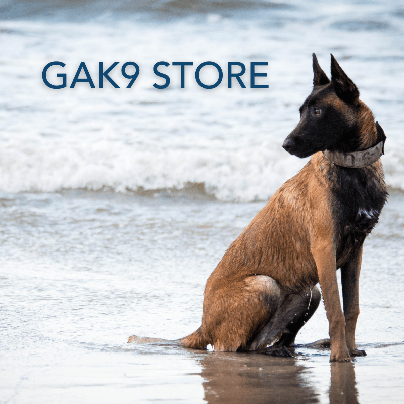 Dog Training Atlanta GA Charleston SC Canton GA GAK9