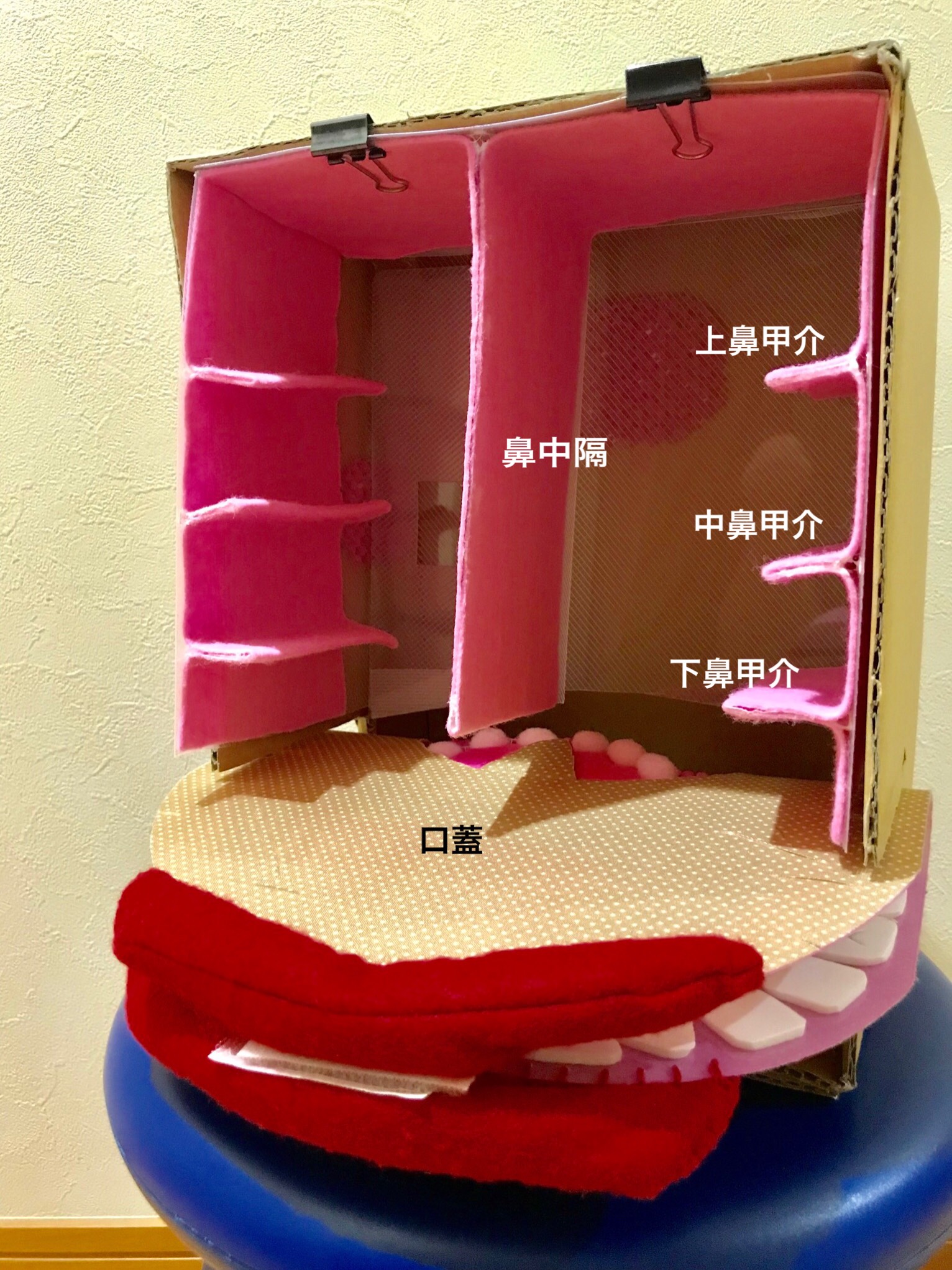 特別支援教育 教材・指導法データベース