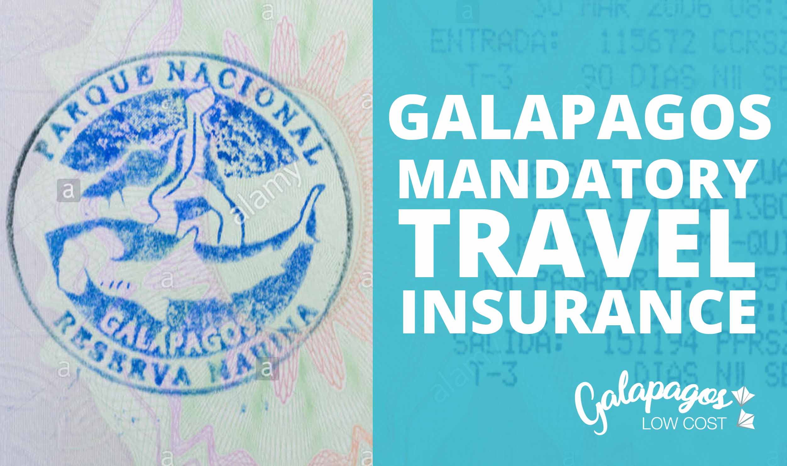 Blog Page 2 of 2 Galapagos Low Cost