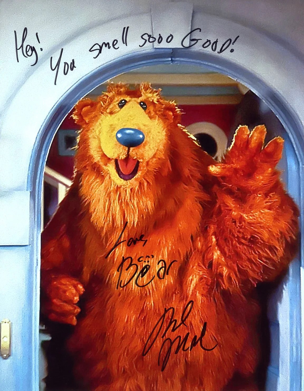 Noel MacNeal Bear in the Big Blue House 8x10 Signed Photo JSA Certifie