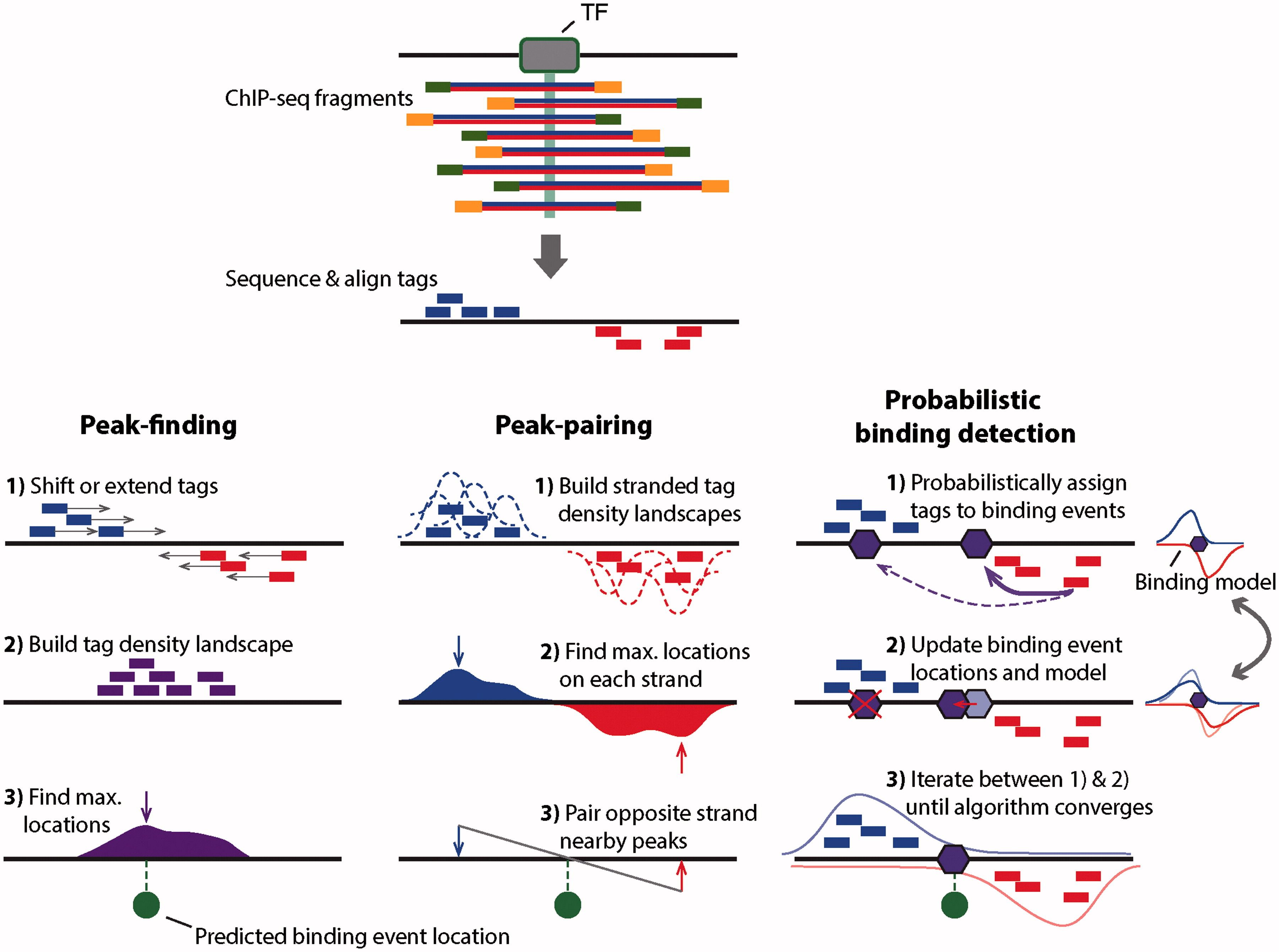 Analysis of ChIPseq data