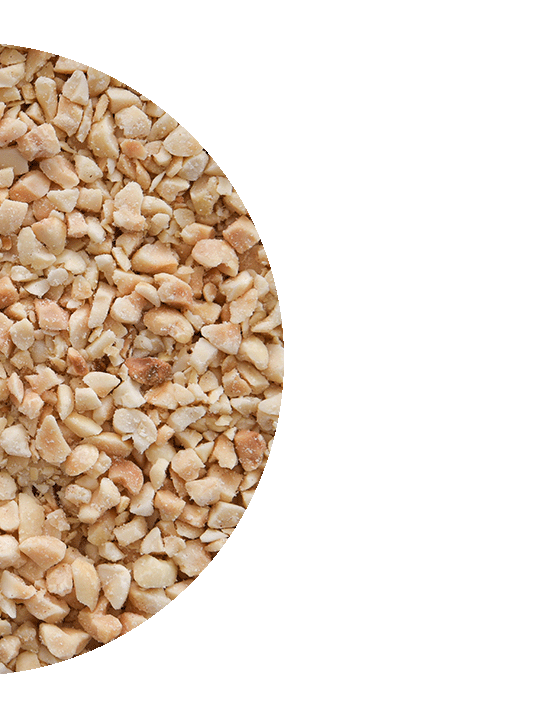 Roasted Peanut Granules Galdisa USA