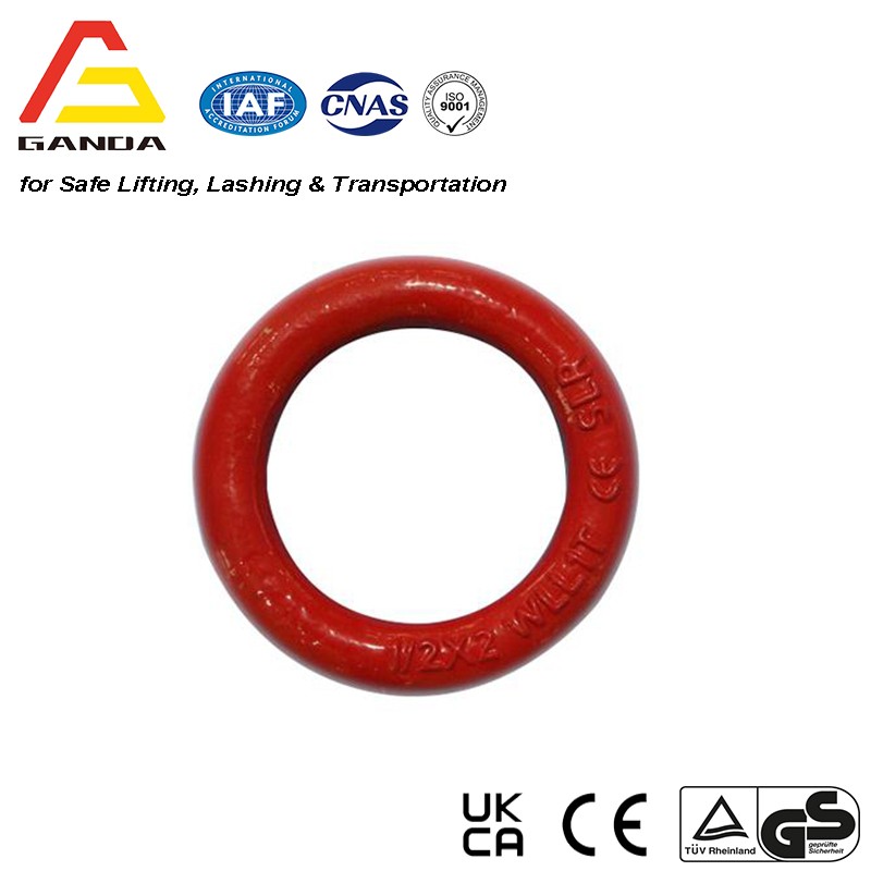 Alloy Steel Lifting Ring