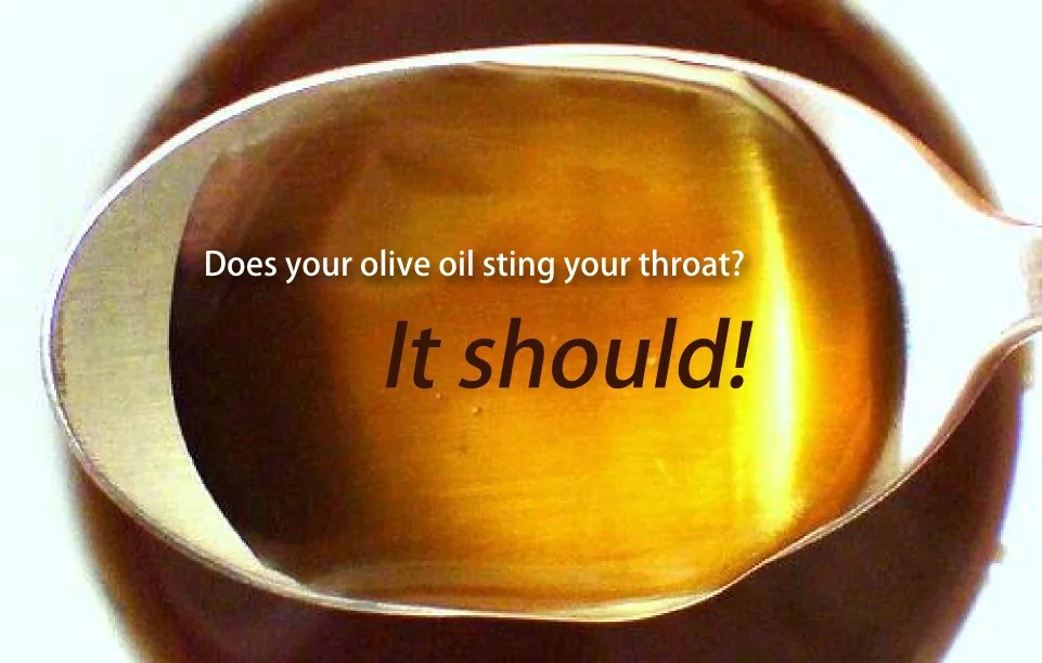Does your olive oil sting the back of your throat? It should! Galilee