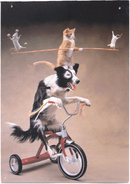 Scaling